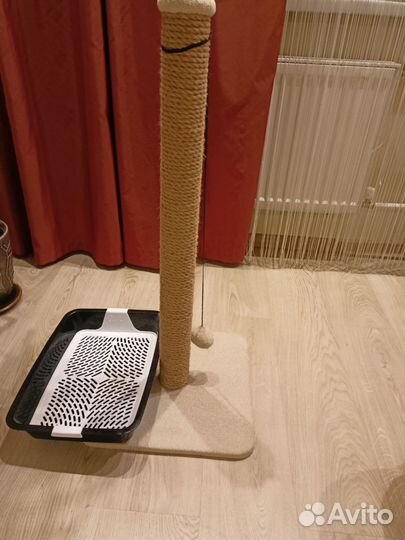 Когтеточка