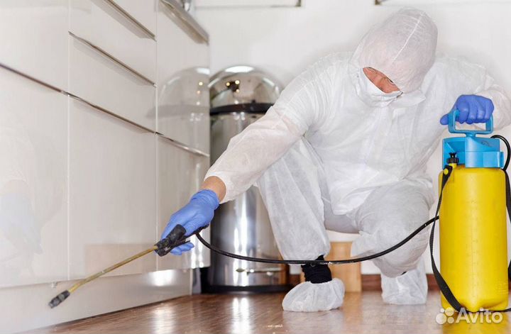 Дезинсекция Тараканов Клопов Муравьёв Мышей Крыс