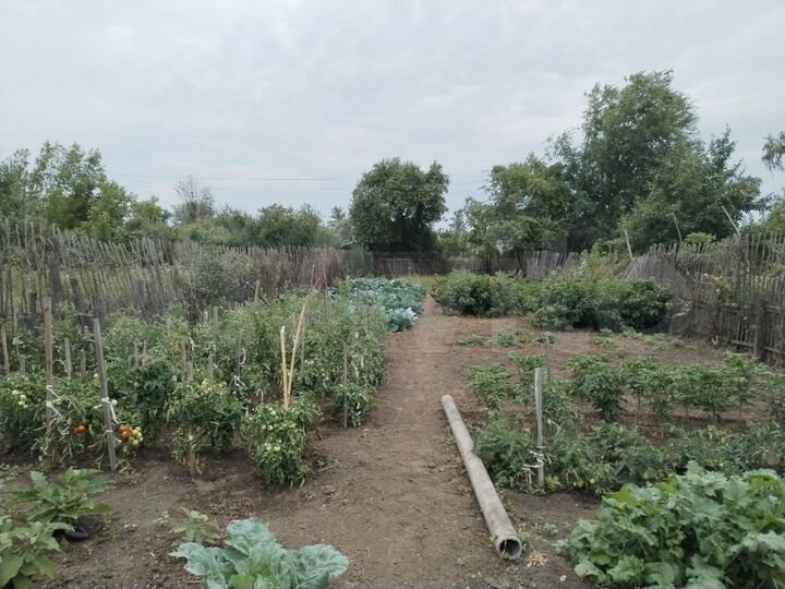 Участок 6 сот. (СНТ, ДНП)
