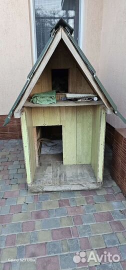 Собачья будка