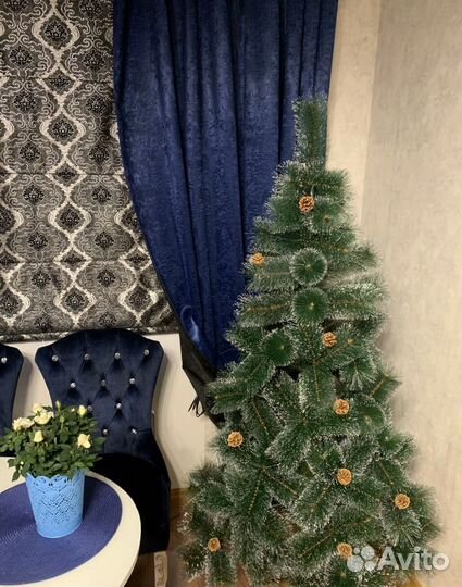 Ель Сосна с шишечками и ягодками