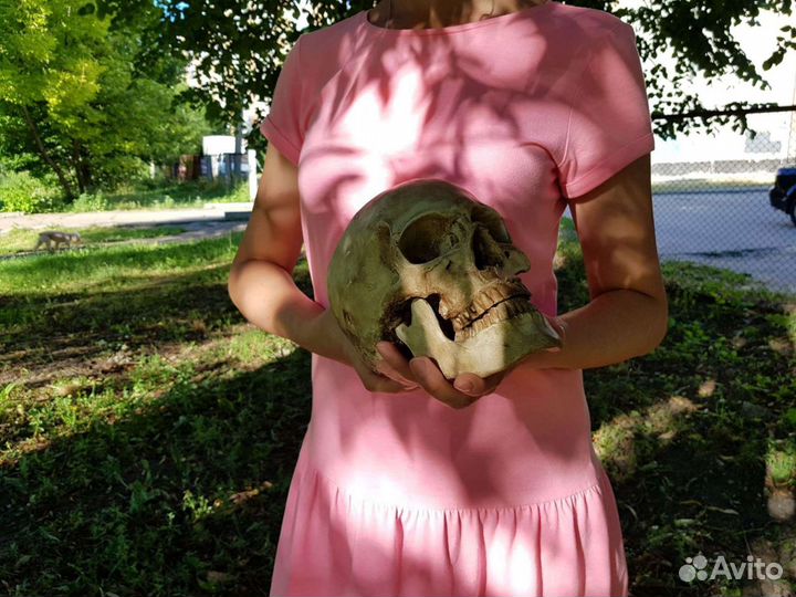 Череп реалистичный
