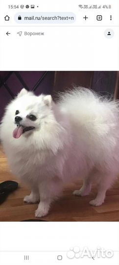 Взрослые девочки в добрые руки