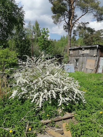 Участок 15 сот. (ИЖС)