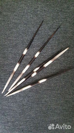 Игла дикобраза