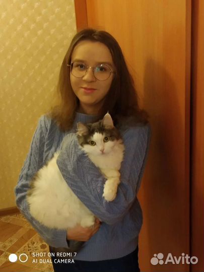 Копирайтер