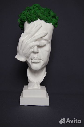 Кашпо (стабилизированный мох)