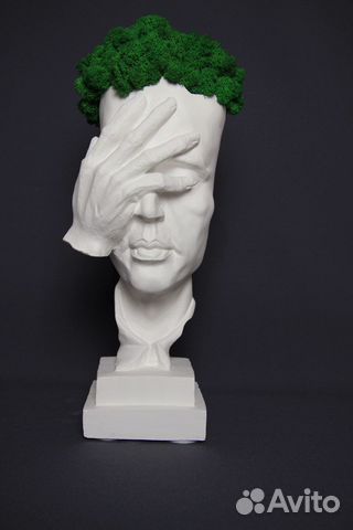 Кашпо (стабилизированный мох)