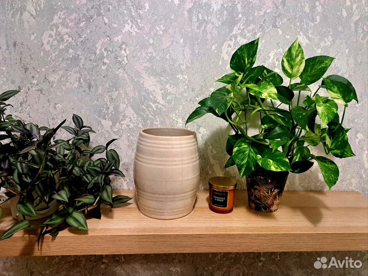 Ваза, кашпо