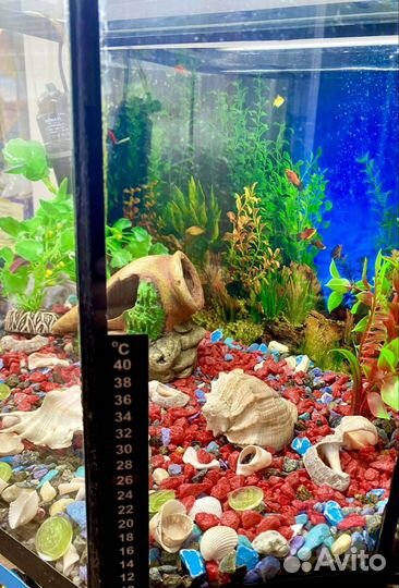 Аквариум