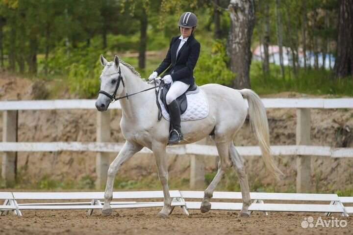 Конные прогулки