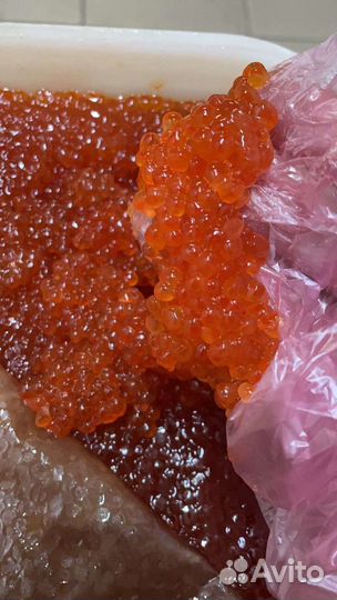 Красная икра кижуча