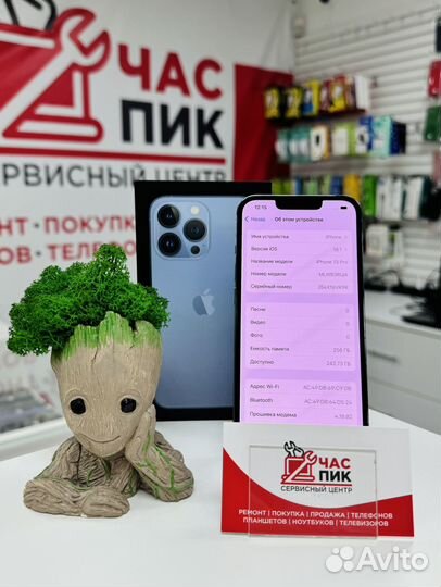 iPhone 13 Pro, 256 ГБ