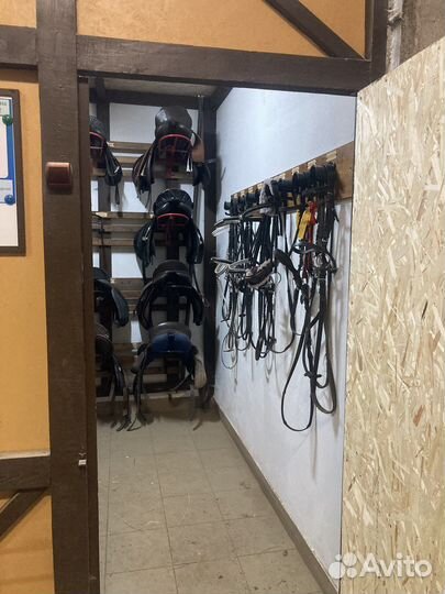 Постой в конюшне, аренда денника