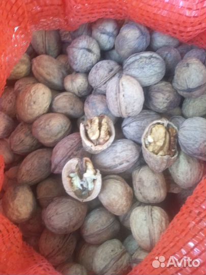 Грецкий орех