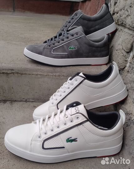 Кеды Lacoste мужские размер 41-45