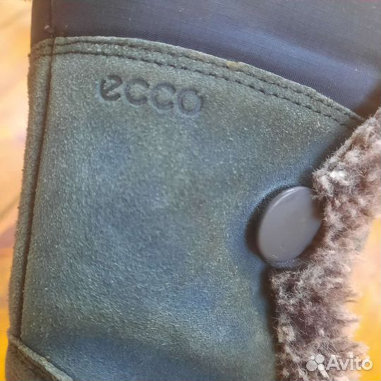 Зимние сапоги ecco для девочки 32 33 размер