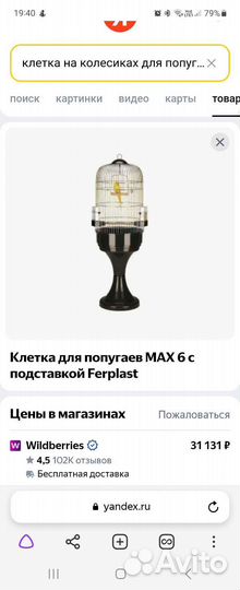 Венесуэльский амазон