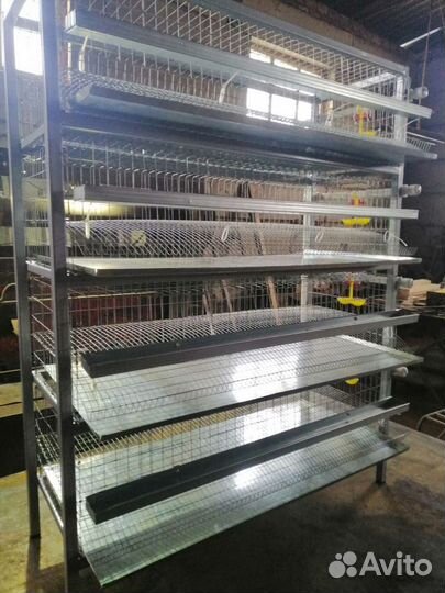 Клетка многоярусная для перепелов