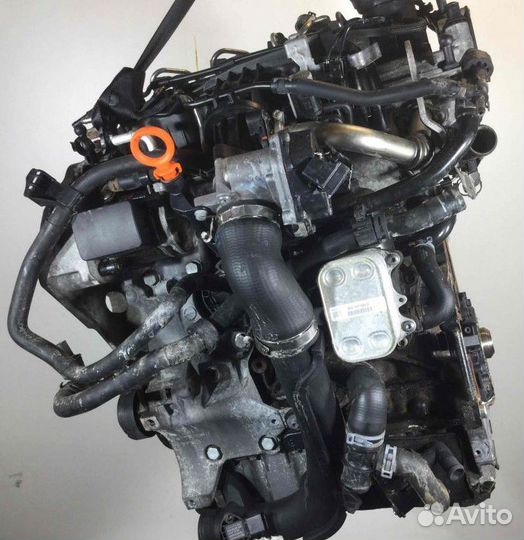 Двигатель Volkswagen Caddy 2010 1.6 дизель CAY