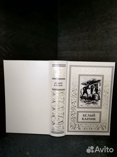 Библиотека приключений и фантастики- 