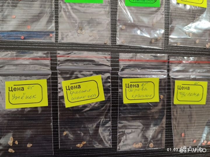 Коллекция семян томатов для консервации