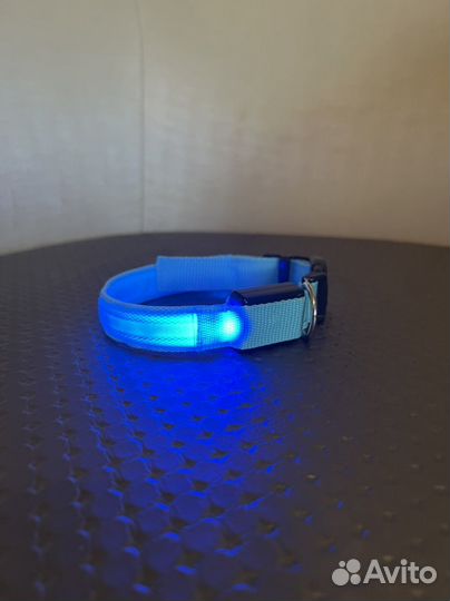 Ошейник для кошки/маленькой собаки