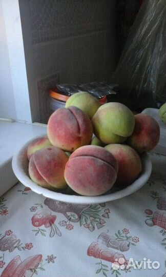 Саженец персика