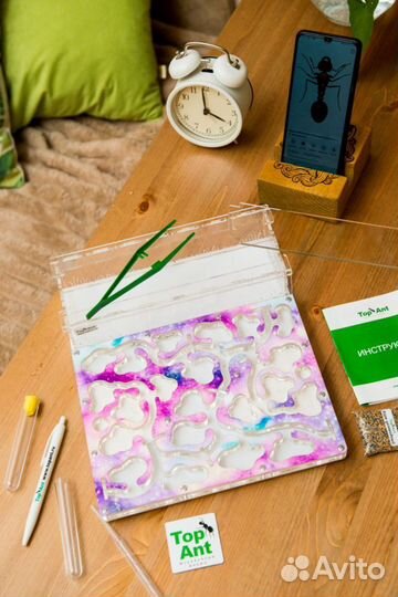 Муравьиная ферма / Формикарий