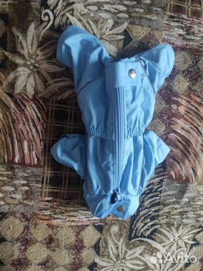 Одежда для маленьких собак