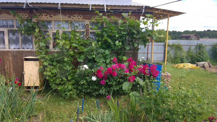 Дача 20 м² на участке 4 сот.