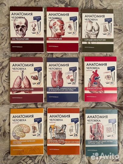 Карточки по анатомии