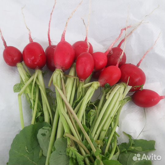 Продам картофель домашний