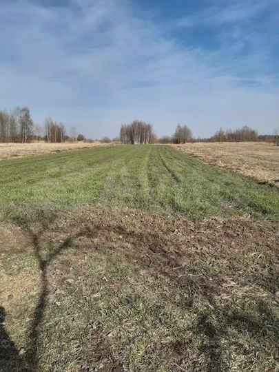 Участок 55 сот. (ИЖС)