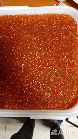 Обалденная, сухая и малосольная икра Кета Горбуша