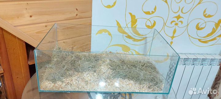 Аквариум, Террариум