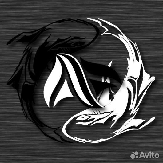 Номерные L-сомы: Стурисомы, Ототиропсис