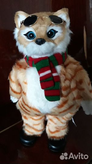 Поющий котик