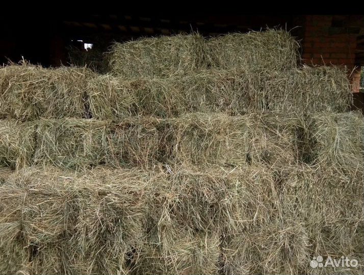 Сено луговое в тюках