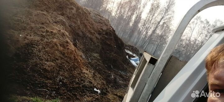 Продам Навоз, Перегной. Машинами, Мешками