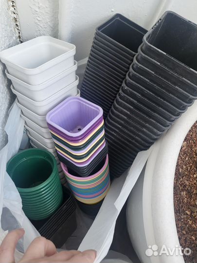 Разные горшки для суккулентов