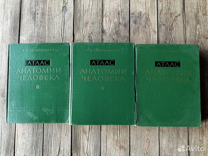 Атлас анатомии человека