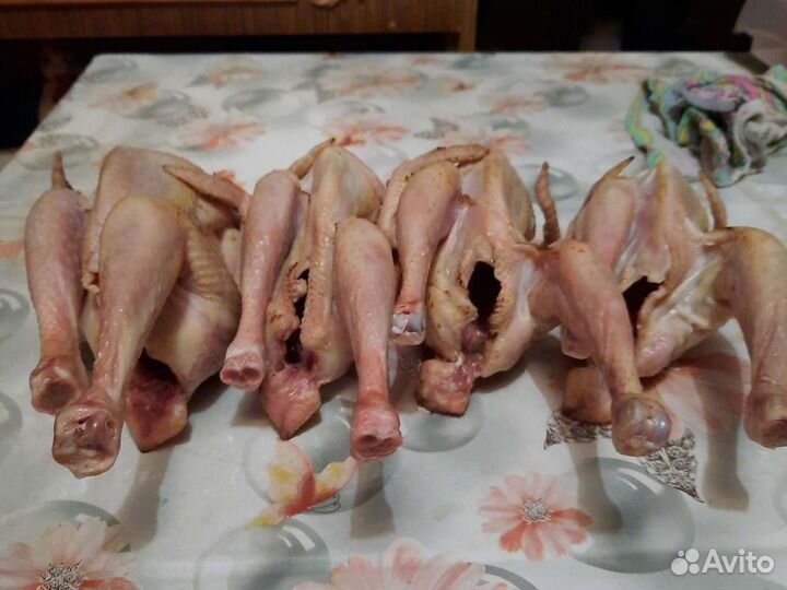Мясо петуха петушки корнишоны, куры домашние