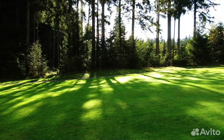 Оценка земельных участков и квартир для ипотеки