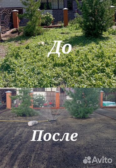 Газон (посев газона)