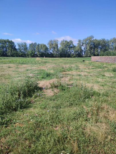 Участок 28 сот. (ИЖС)