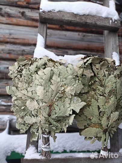 Веник дубовый