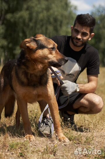 Спасите Тима