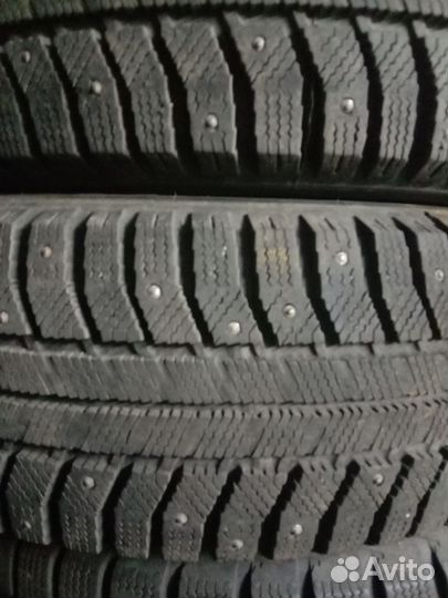 Cordiant Polar SL 195/65 R15