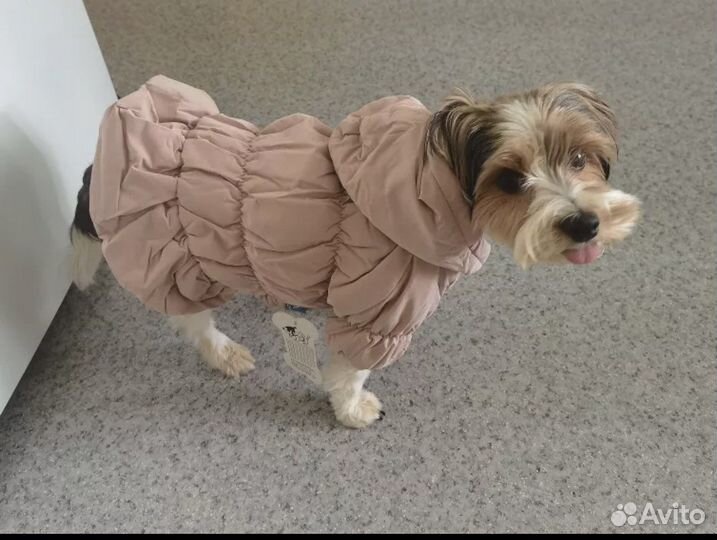 Куртка для собачки